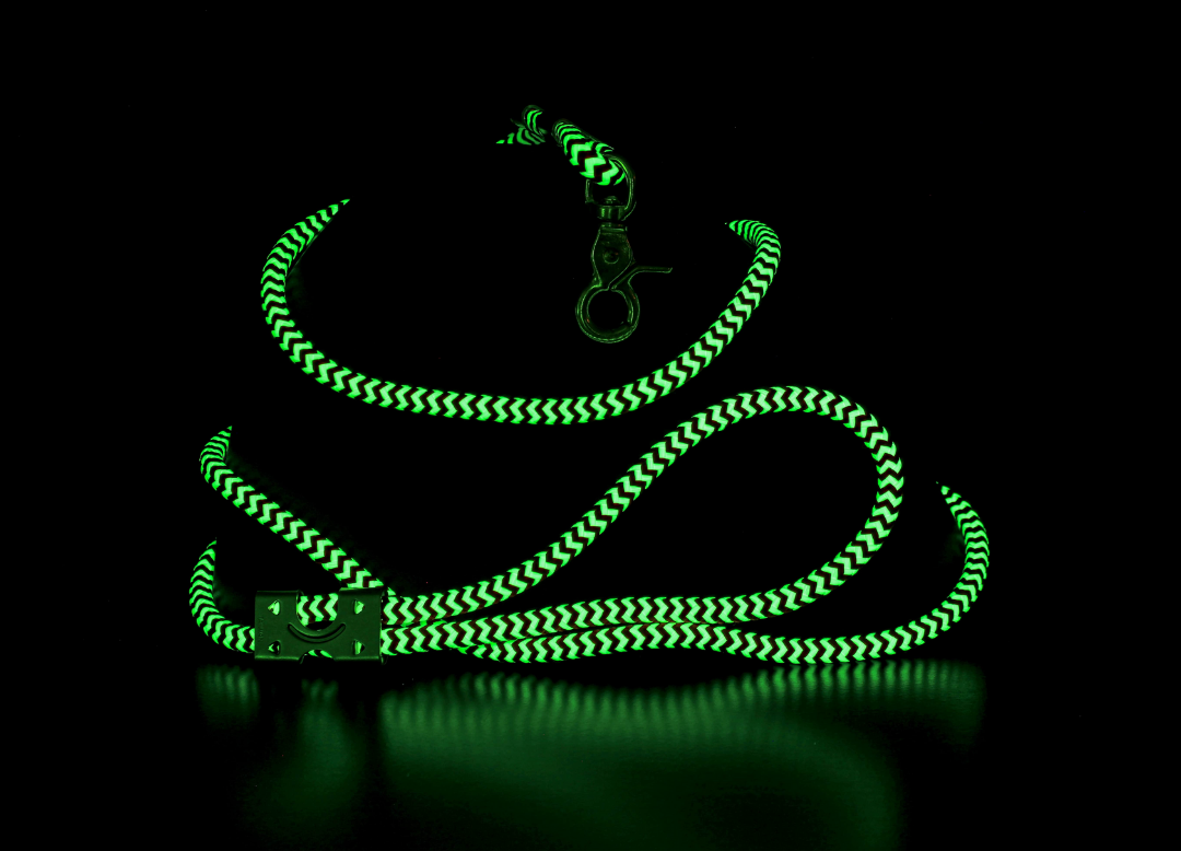 Snakeskin Glow Pet Leash