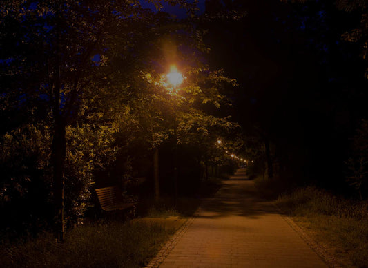 Best Ways to Safely Walk Your Dog at Night