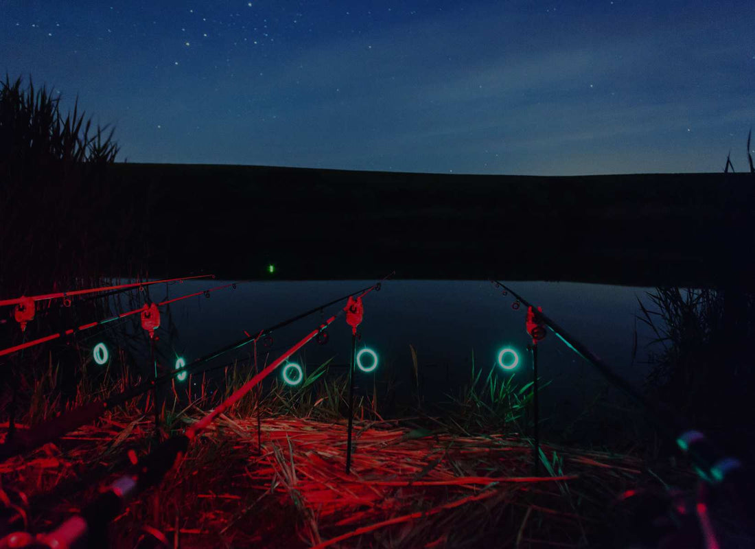 A Beginner's Guide to Night Fishing in Canada