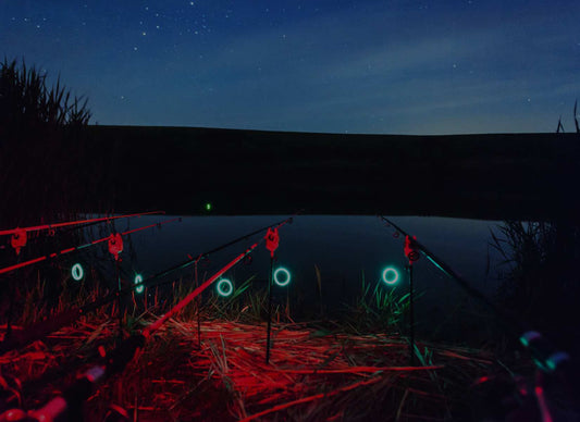 A Beginner's Guide to Night Fishing in Canada