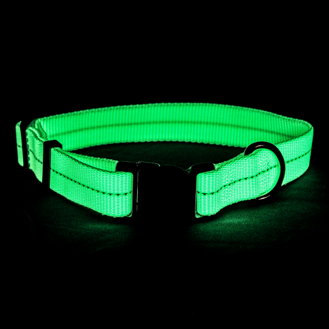 Glow-in-the-Dark Pet Collar