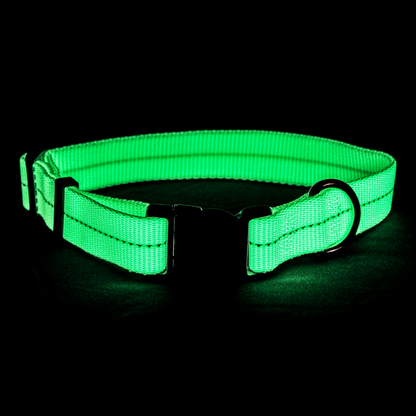 GLOROPE Glow in the Dark Adjustable Soft Nylon Pet Collar