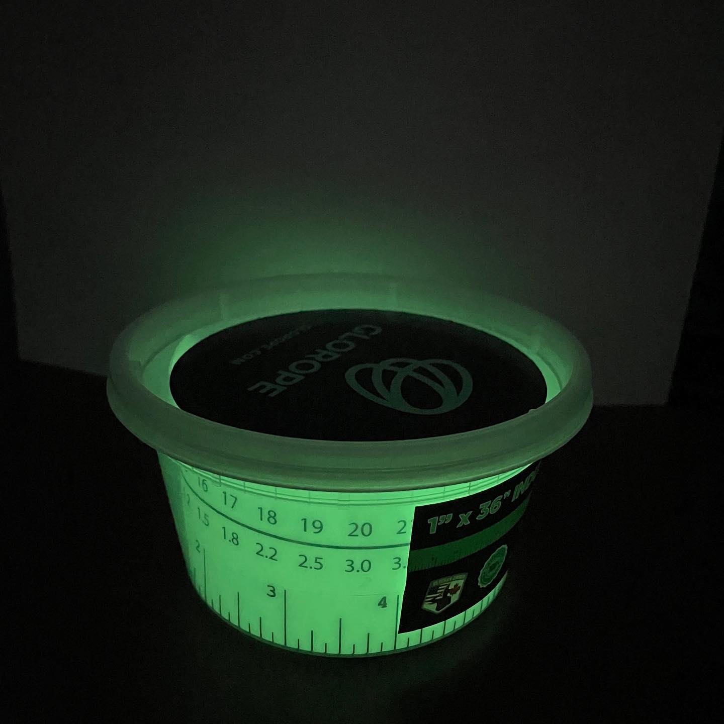 Glow in the Dark Fish Ruler