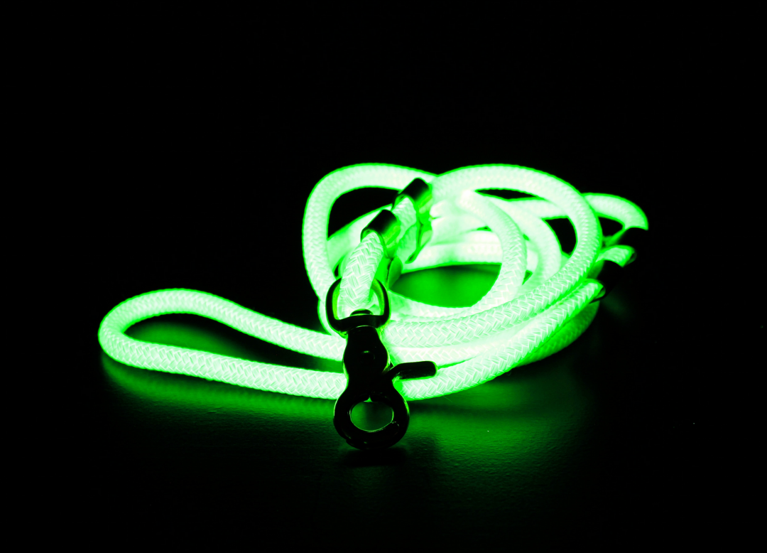 Glow in the shop dark dog leash