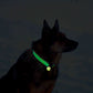 Glow-in-the-Dark Pet Tag